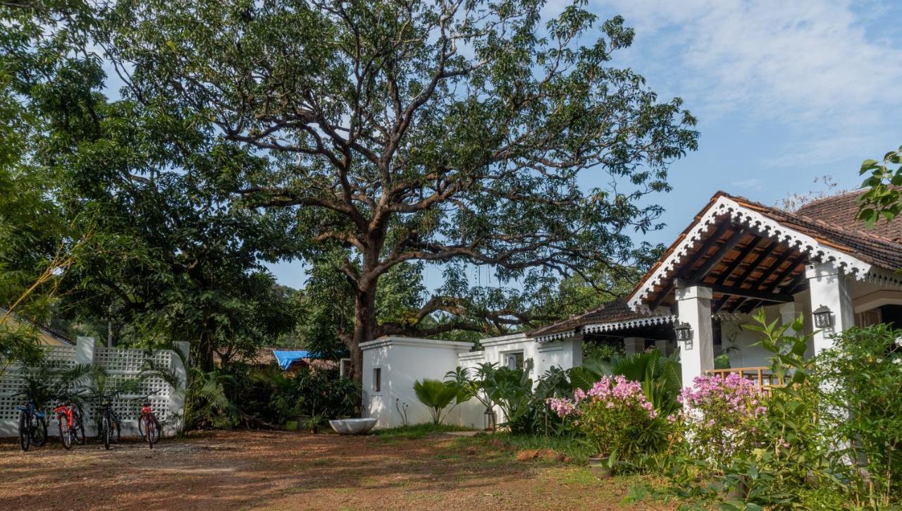 The Island Sanctuary - A Village Secret Chorao 外观 照片